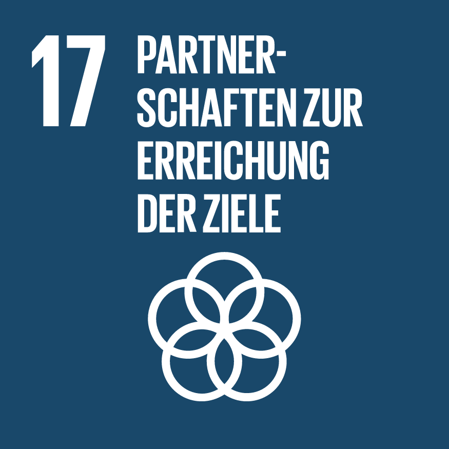 SDG 17: Partnerships
